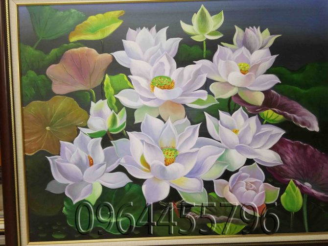 tranh hoa sen