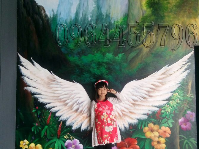 vẽ tranh tường 3d cánh chim
