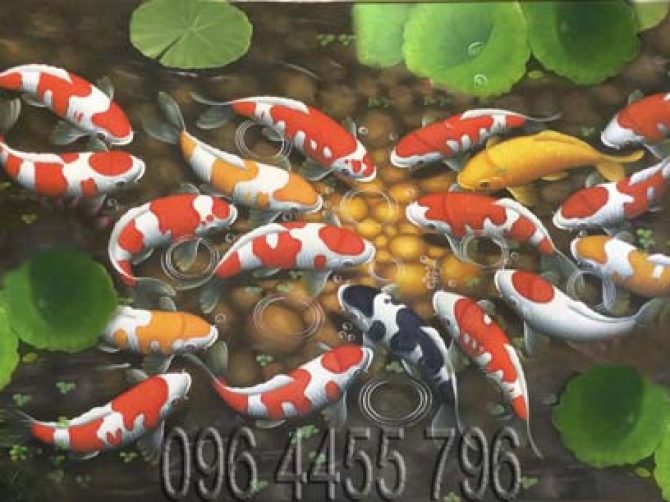 tranh cá cửu ngư quần hội mã 04