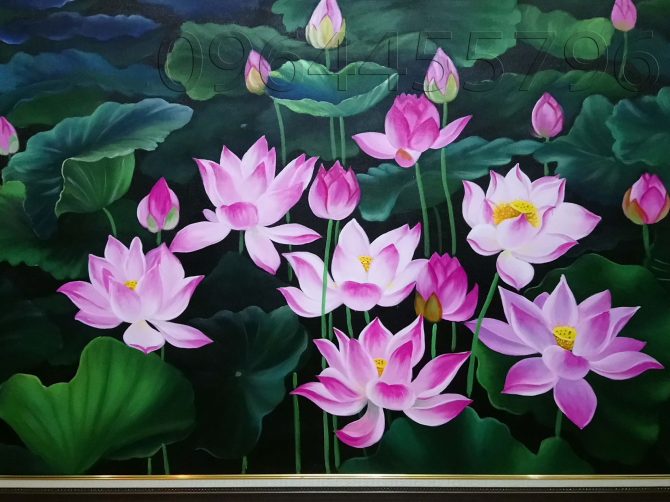tranh hoa sen tím