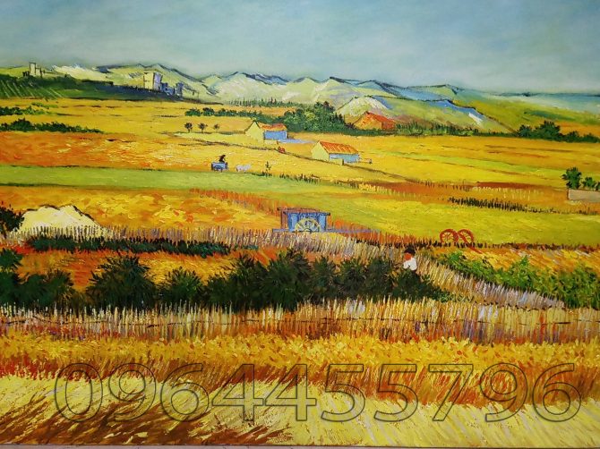mùa gặt tranh vangogh
